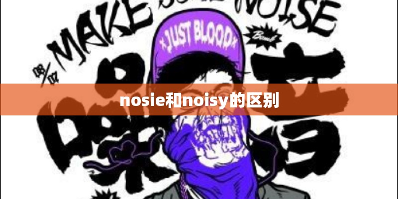 nosie和noisy的区别