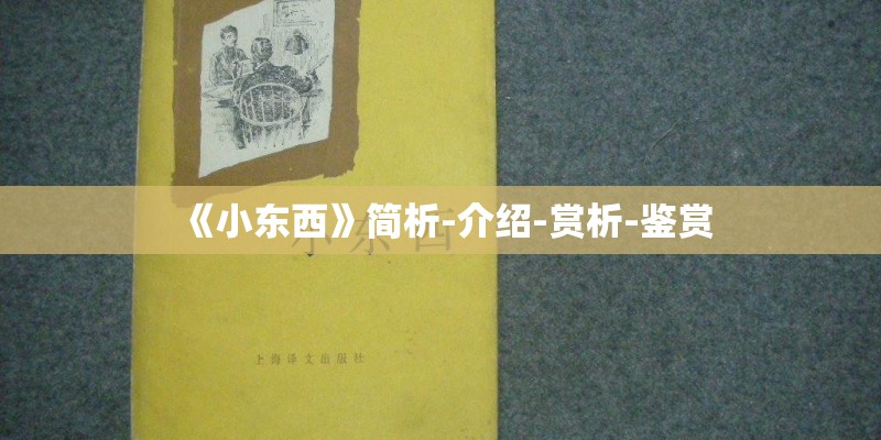 《小东西》简析-介绍-赏析-鉴赏