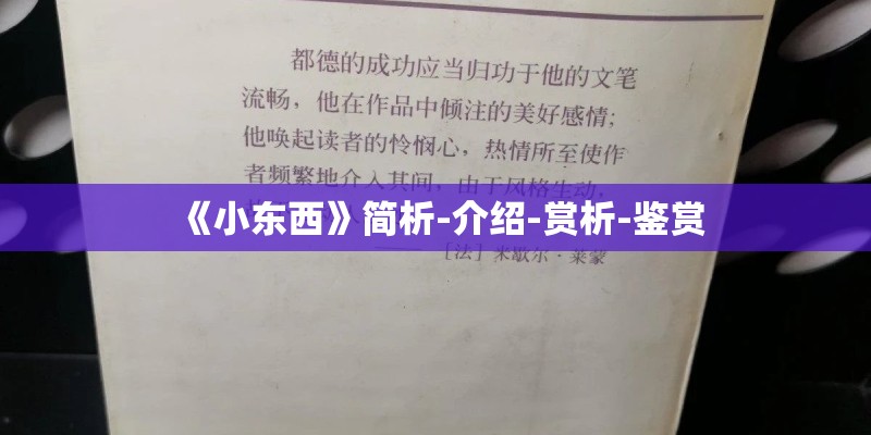 《小东西》简析-介绍-赏析-鉴赏