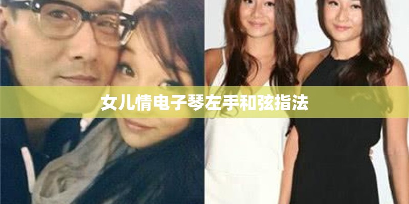 女儿情电子琴左手和弦指法