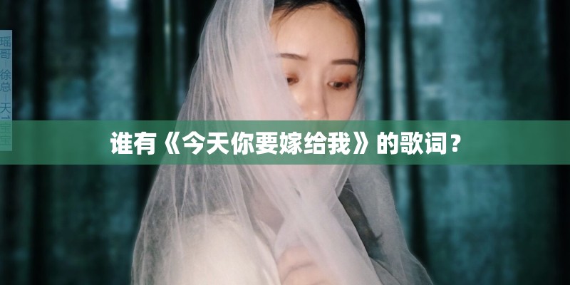 谁有《今天你要嫁给我》的歌词？