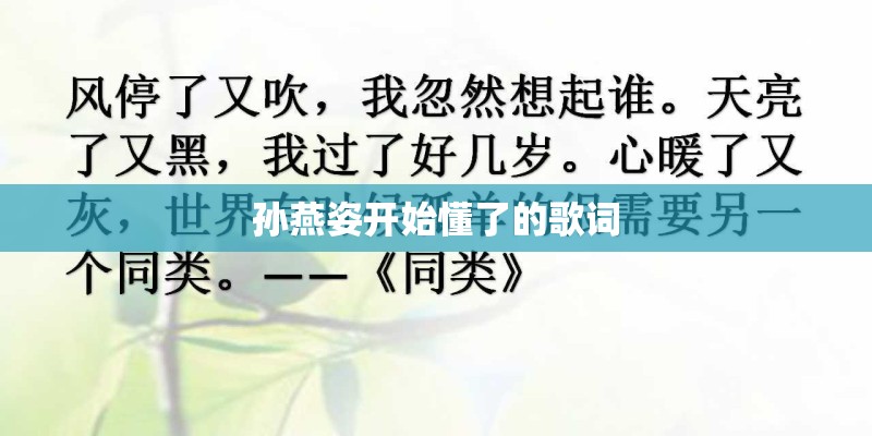 歌在飞原唱歌曲