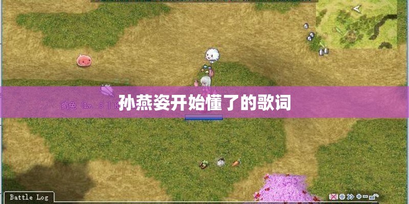 孙燕姿开始懂了的歌词