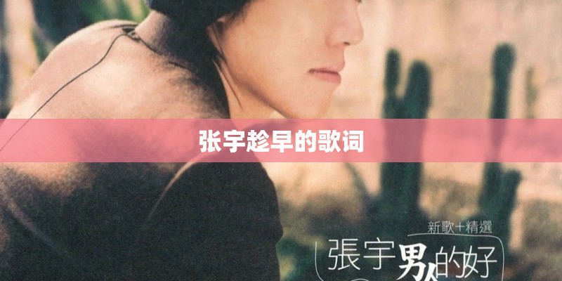 张宇趁早的歌词