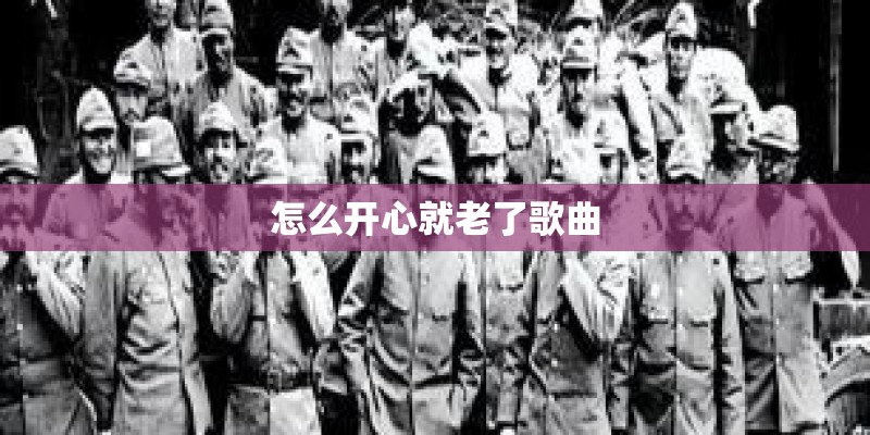 怎么开心就老了歌曲