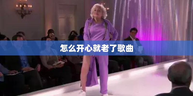 怎么开心就老了歌曲