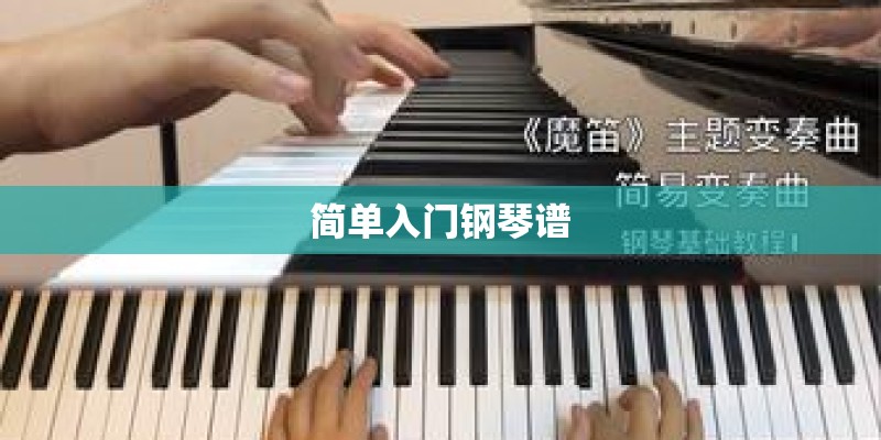 简单入门钢琴谱