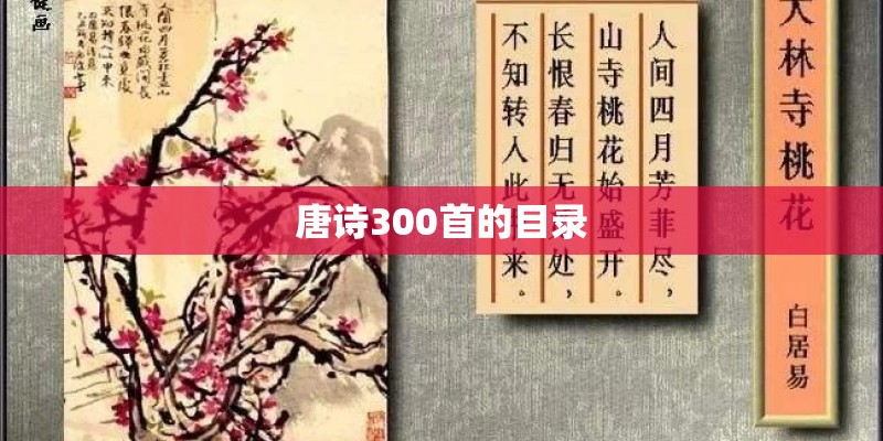 唐诗300首的目录