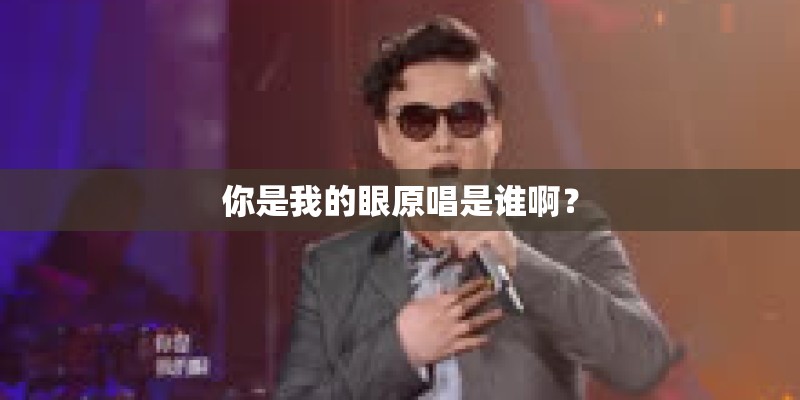你是我的眼原唱是谁啊？