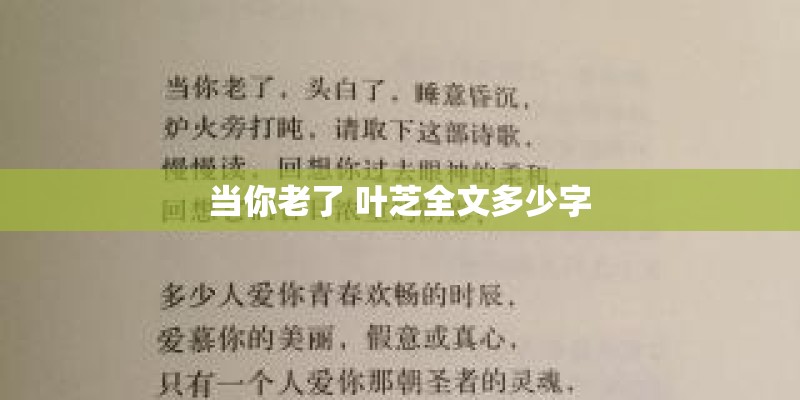 当你老了 叶芝全文多少字
