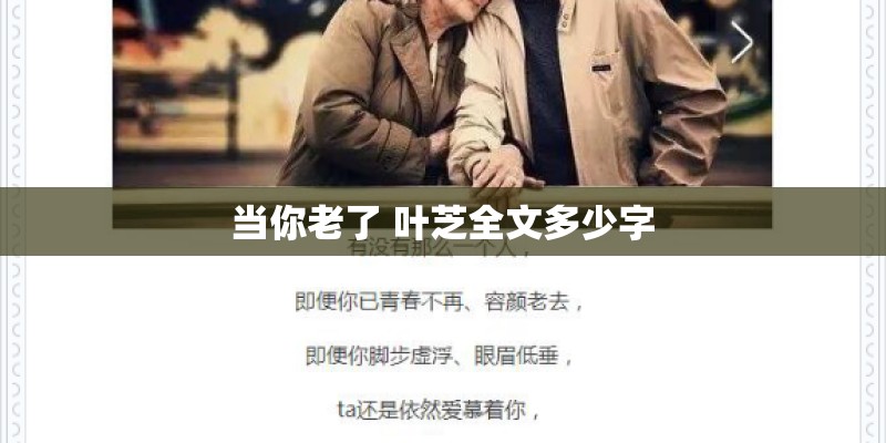 当你老了 叶芝全文多少字