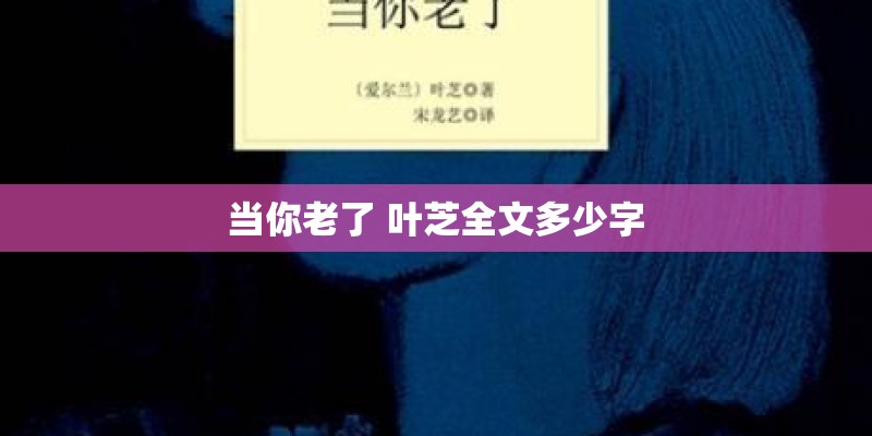 当你老了 叶芝全文多少字