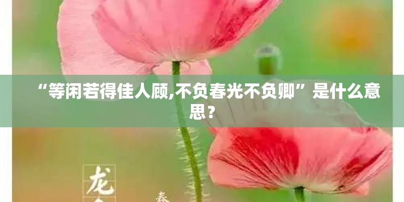“等闲若得佳人顾,不负春光不负卿”是什么意思？