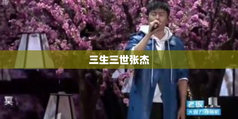 三生三世张杰