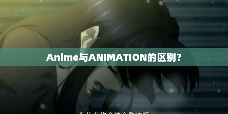 Anime与ANIMATION的区别？