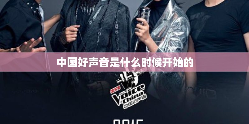 中国好声音是什么时候开始的