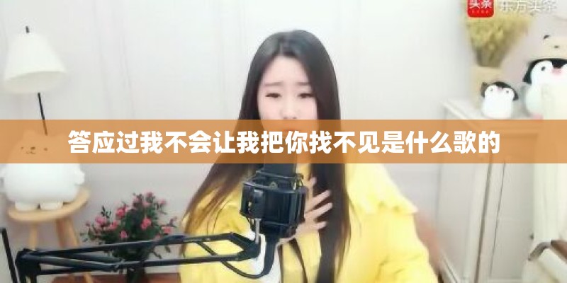 答应过我不会让我把你找不见是什么歌的