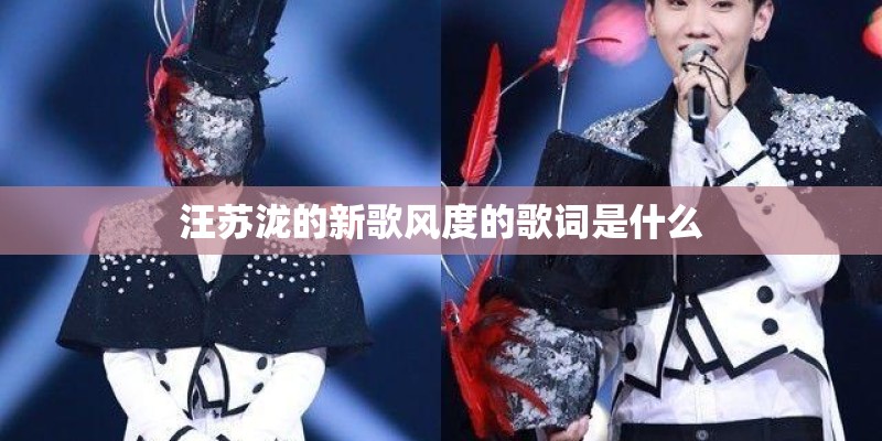 汪苏泷的新歌风度的歌词是什么