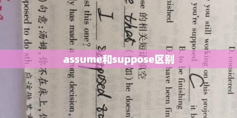 assume和suppose区别