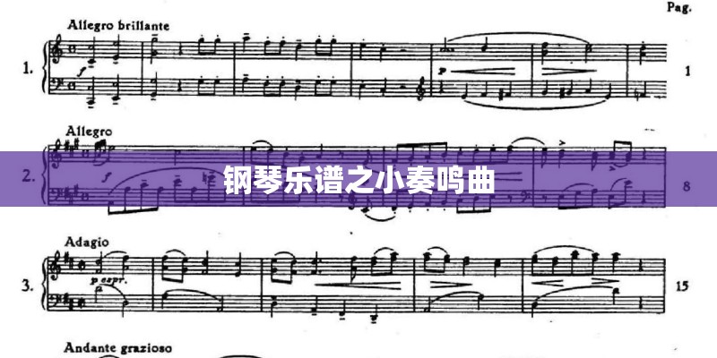 钢琴乐谱之小奏鸣曲 钢琴乐谱之小奏鸣曲