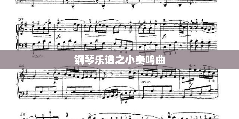钢琴乐谱之小奏鸣曲 钢琴乐谱之小奏鸣曲