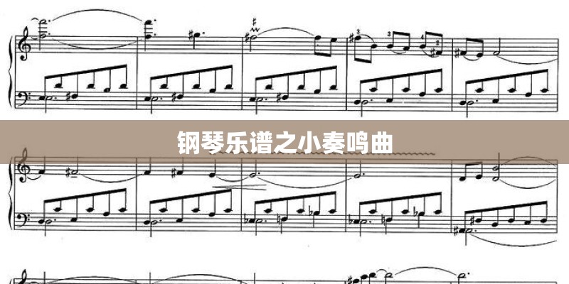 钢琴乐谱之小奏鸣曲 钢琴乐谱之小奏鸣曲