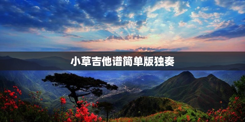 小草吉他谱简单版独奏