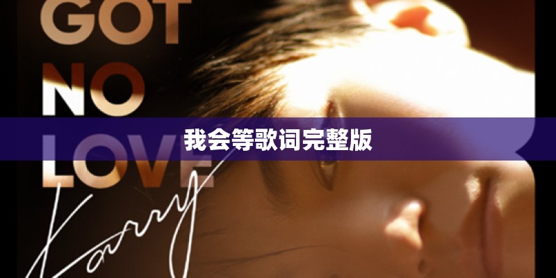 我会等歌词完整版