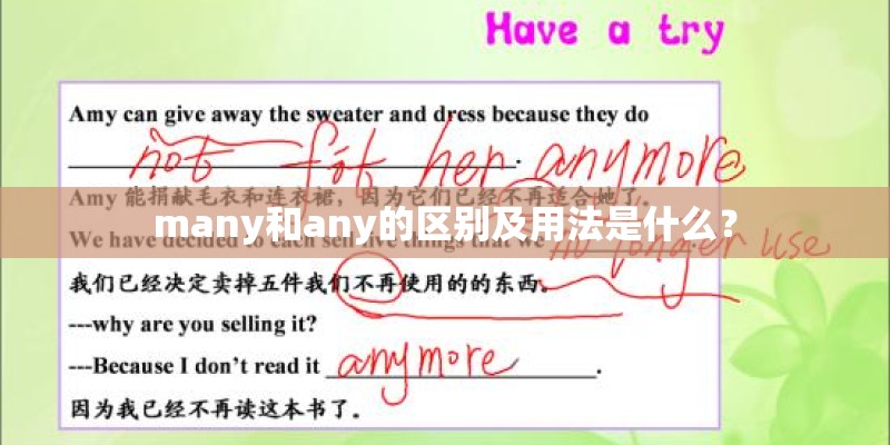 many和any的区别及用法是什么？