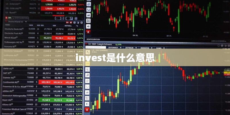 invest是什么意思 invest是什么意思