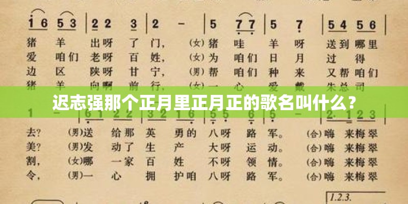 迟志强那个正月里正月正的歌名叫什么？