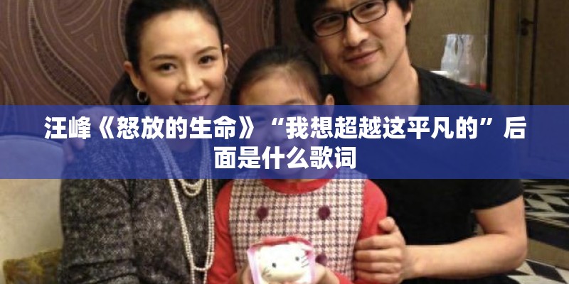 汪峰《怒放的生命》“我想超越这平凡的”后面是什么歌词