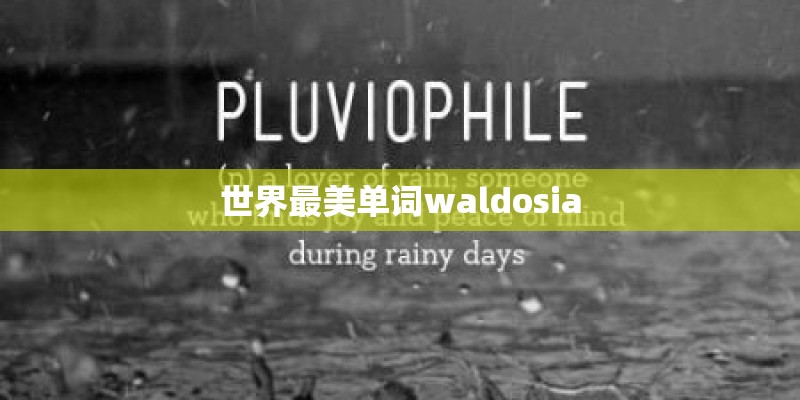 世界最美单词waldosia