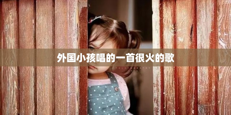 外国小孩唱的一首很火的歌