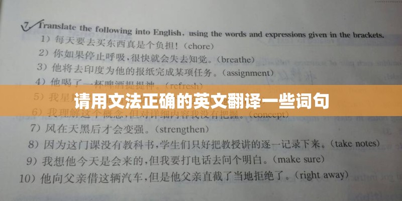 请用文法正确的英文翻译一些词句