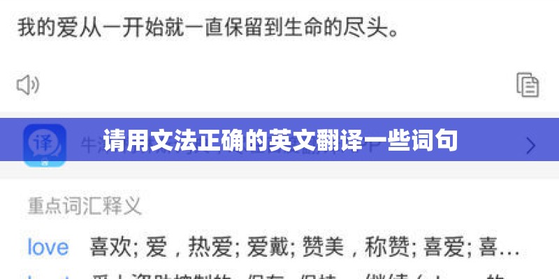 请用文法正确的英文翻译一些词句