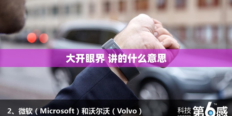 大开眼界 讲的什么意思