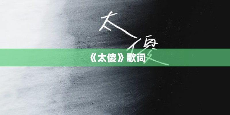 《太傻》歌词