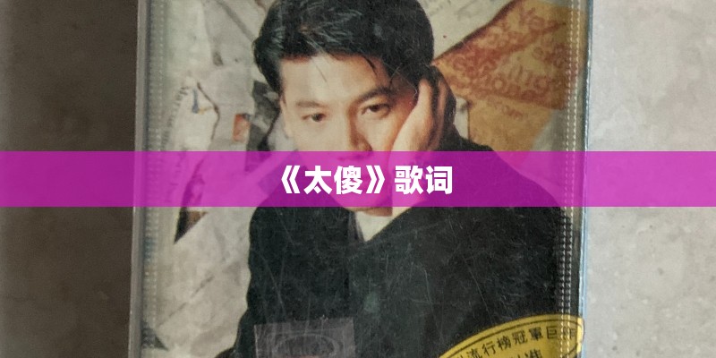 《太傻》歌词