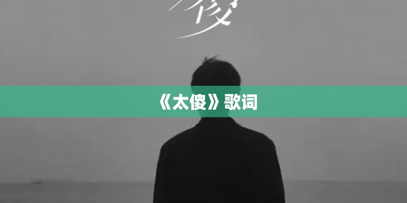 《太傻》歌词