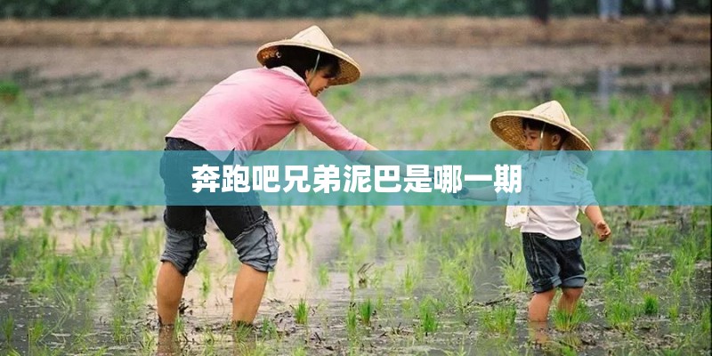 奔跑吧兄弟泥巴是哪一期
