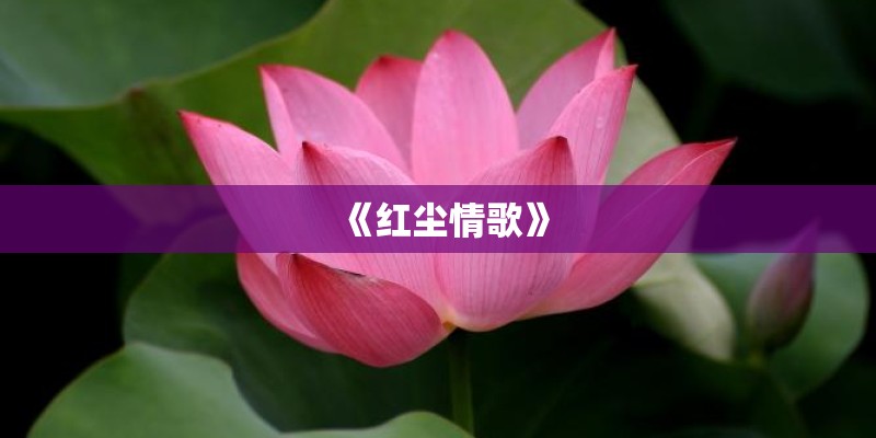 《红尘情歌》
