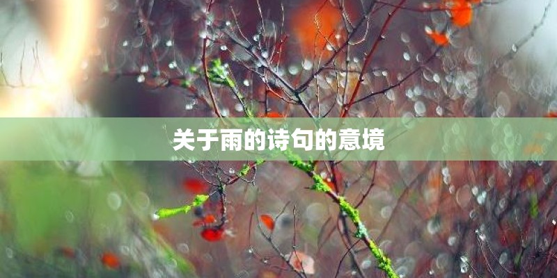 关于雨的诗句的意境