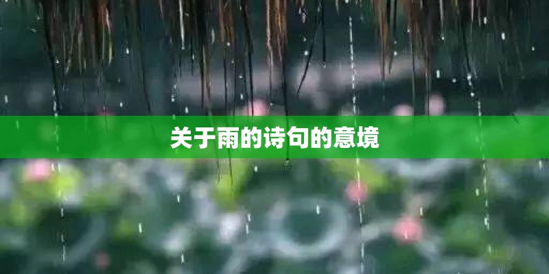 关于雨的诗句的意境