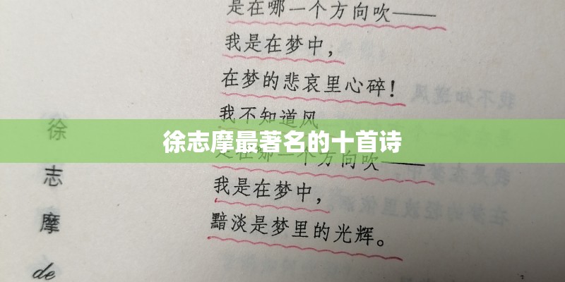 徐志摩最著名的十首诗