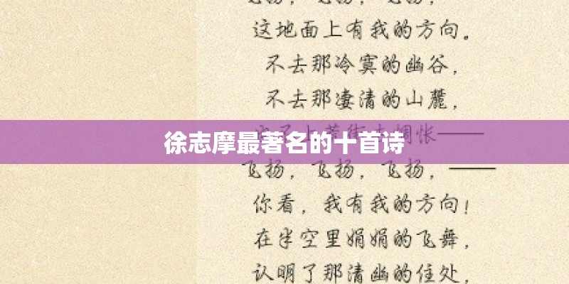 关于你歌词