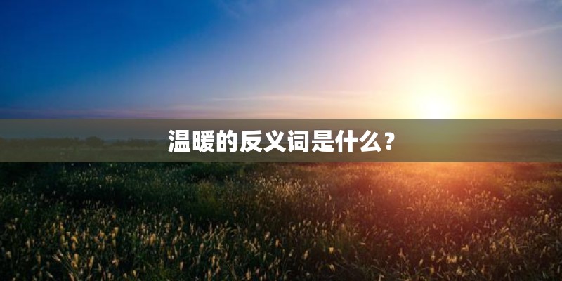 温暖的反义词是什么？