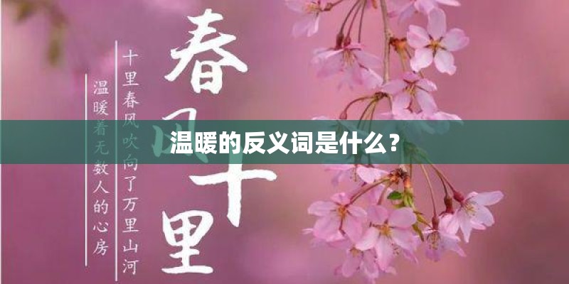 温暖的反义词是什么？