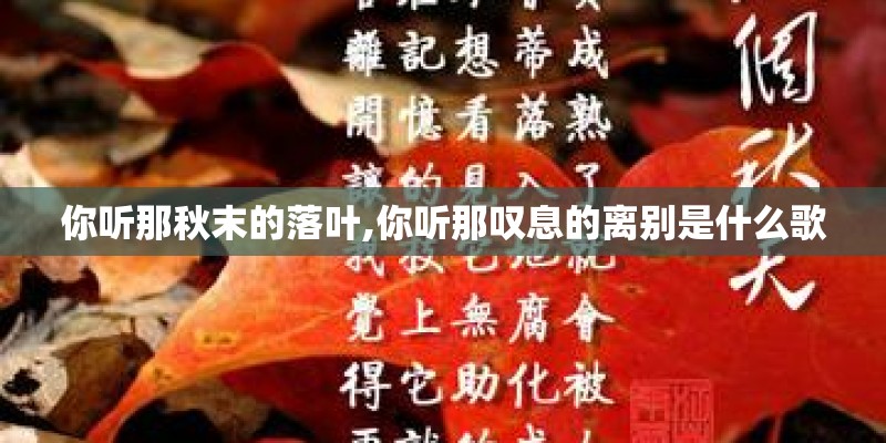 你听那秋末的落叶,你听那叹息的离别是什么歌
