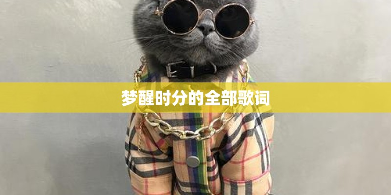 梦醒时分的全部歌词